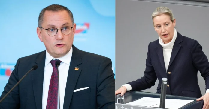 alternative für deutschland parteiführung